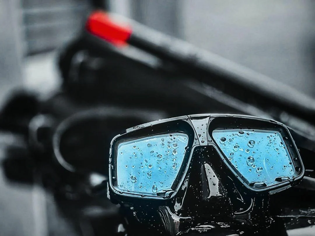 Mystic Palm Shop 13 Mystic Palm Shop -Mystic Palm Shop 15342